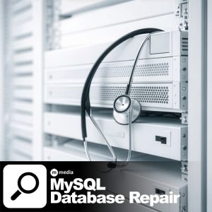 MySQL Database Repair