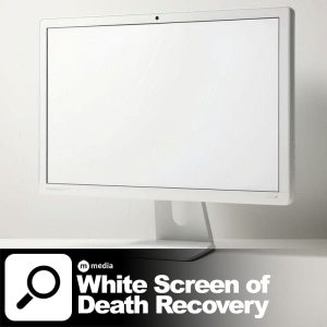 White Screen of Death Recovery