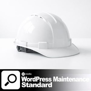 WordPress Maintenance – Standard