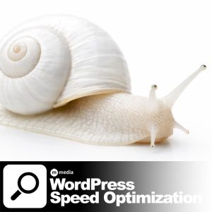 WordPress Speed Optimization